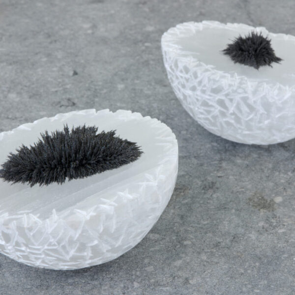 erica-van-seeters-bd5a4139b1a6a0c1bcec44af2b3a8ca8